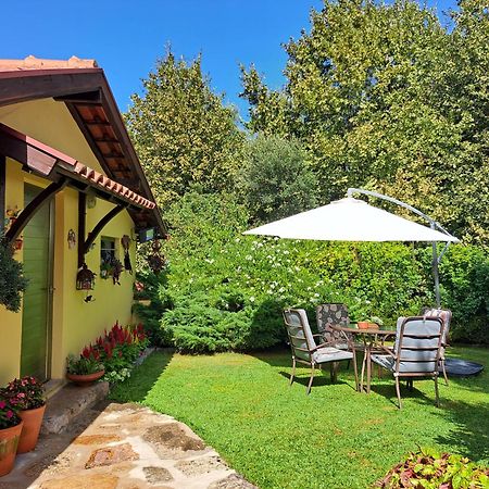 Quinta De Carcavelos Agroturismo E Enoturismo Celorico De Basto Dış mekan fotoğraf