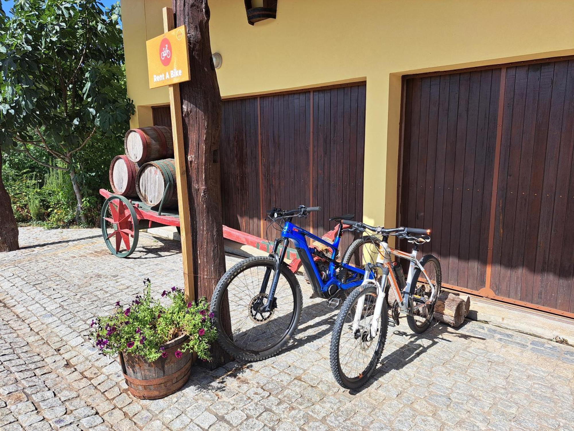 Quinta De Carcavelos Agroturismo E Enoturismo Celorico De Basto Dış mekan fotoğraf